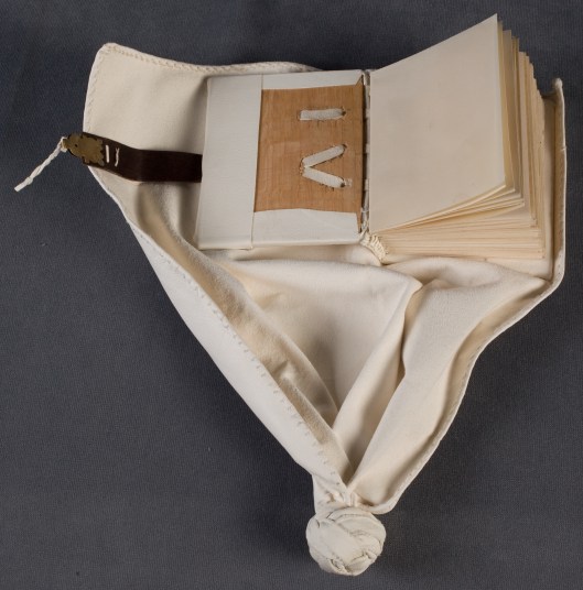 Binding Model of MS 84